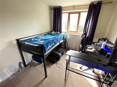 Picture 7